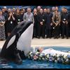 Jessica Orca Fans