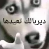 user65786555481605