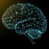 mentalclarity2