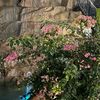 ranoomy_15