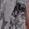 hali.me