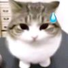 rainygt13