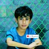 jdh109djn