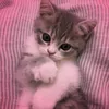 lyouna__009