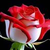 user2758196804025