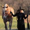 judyannclydesdale