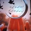 ameer.ali.solangi86