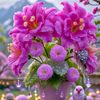 rohan.hosan886