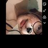 alexandra.beltran1997