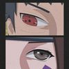 __shiizuka__