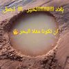 arbabmohammedabdu