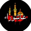 jsib_313