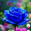 user8523715308368