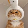 pet_xpop