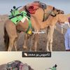 salim.hamad66