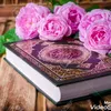 user1986137303980