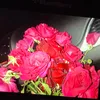 fatmaal988