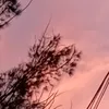 feialex26