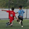 iqball_1233