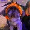jayseaton1