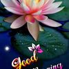 manee.vanan