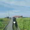 cewe.imuts