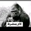 abood...20050