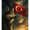 umutreis134