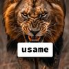 usameyare090