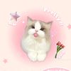 keyy_971