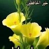 user55088109547212