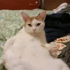 bonus_hotskins