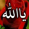 mohammed.21a