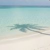 summerlciyo2