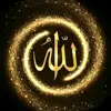 nurr___47