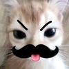 nanabiyyyz