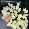 arnurkyzy_011