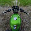 sall18thn