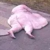 methtoilet21