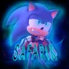 safarik3745