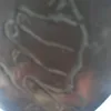 sandroba5hi