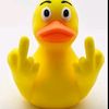 luckyduckyqueen