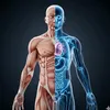 anatomyinside1