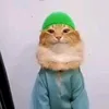 il_gatto_arab0