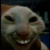 saad.sekkaf1
