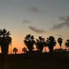 rita_zhh2