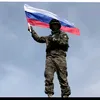 adam_av1337