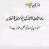 ali188593