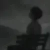 _h.h13