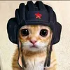 nertim6